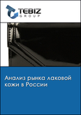 Обложка Анализ рынка лаковой кожи в России