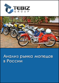 Обложка Анализ рынка мопедов в России