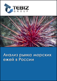 Обложка Анализ рынка морских ежей в России