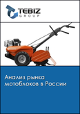 Обложка Анализ рынка мотоблоков в России