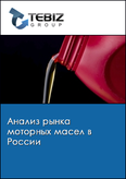 Обложка Анализ рынка моторных масел в России