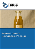 Обложка Анализ рынка нектаров в России