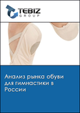 Обложка Анализ рынка обуви для гимнастики в России