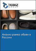 Обложка Анализ рынка обуви в России