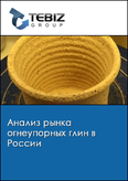 Обложка Анализ рынка огнеупорных глин в России
