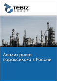 Обложка Анализ рынка параксилола в России