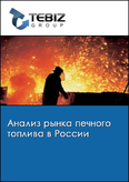 Обложка Анализ рынка печного топлива в России