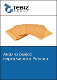 Обложка Анализ рынка пергамента в России