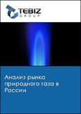 Обложка Анализ рынка природного газа в России