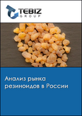 Обложка Анализ рынка резиноидов в России