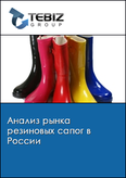 Обложка Анализ рынка резиновых сапог в России
