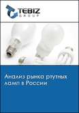 Обложка Анализ рынка ртутных ламп в России