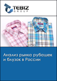 Обложка Анализ рынка рубашек и блузок в России