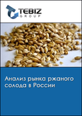 Обложка Анализ рынка ржаного солода в России