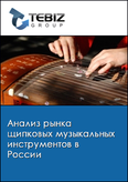 Обложка Анализ рынка щипковых музыкальных инструментов в России