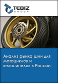 Обложка Анализ рынка шин для мотоциклов и велосипедов в России