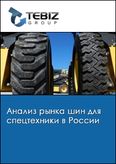 Обложка Анализ рынка шин для спецтехники в России