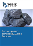 Обложка Анализ рынка силикокальция в России