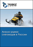 Обложка Анализ рынка снегоходов в России
