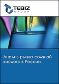 Обложка Анализ рынка соляной кислоты в России