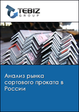 Обложка Анализ рынка сортового проката в России