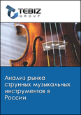Обложка Анализ рынка струнных музыкальных инструментов в России