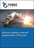 Обложка Анализ рынка свечей зажигания в России
