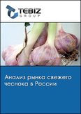 Обложка Анализ рынка свежего чеснока в России
