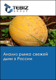 Обложка Анализ рынка свежей дыни в России