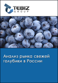 Обложка Анализ рынка свежей голубики в России
