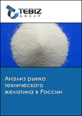 Обложка Анализ рынка технического желатина в России
