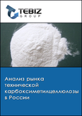 Обложка Анализ рынка технической карбоксиметилцеллюлозы в России