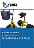 Обложка Анализ рынка трехколесных велосипедов в России