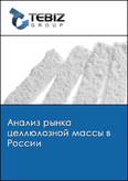 Обложка Анализ рынка целлюлозной массы в России