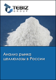 Обложка Анализ рынка целлюлозы в России