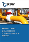 Обложка Анализ рынка циклических углеводородов в России