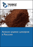 Обложка Анализ рынка цикория в России