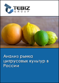 Обложка Анализ рынка цитрусовых культур в России