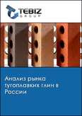 Обложка Анализ рынка тугоплавких глин в России