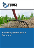 Обложка Анализ рынка вил в России