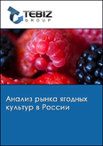 Обложка Анализ рынка ягодных культур в России