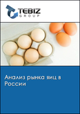 Обложка Анализ рынка яиц в России