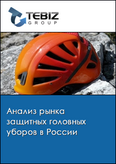 Обложка Анализ рынка защитных головных уборов в России