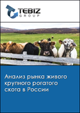 Обложка Анализ рынка живого крупного рогатого скота в России