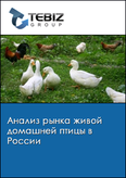 Обложка Анализ рынка живой домашней птицы в России