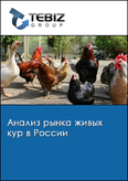 Обложка Анализ рынка живых кур в России