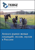 Обложка Анализ рынка живых лошадей, ослов, мулов в России