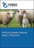 Обложка Анализ рынка живых овец в России