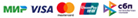 Visa, МИР, СБП